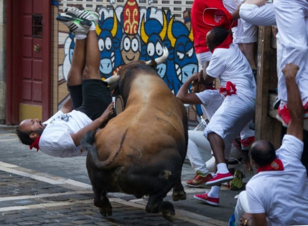 Foto - Hayvanlarla insanların tehlikeli yakınlaşması!