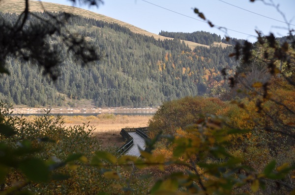 Foto - Hazan mevsimi mest ediyor