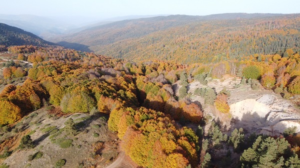 Foto - Hazan mevsimi mest ediyor