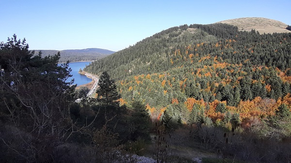 Foto - Hazan mevsimi mest ediyor