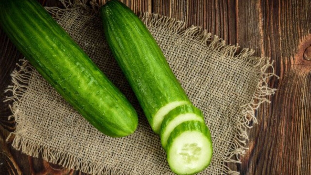 Hazır fide almaya gerek yok! Balkonda kıtır kıtır salata, pet şişede sera etkisi