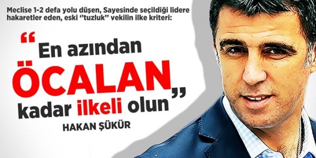 HDP'ye oy vermişlerdi