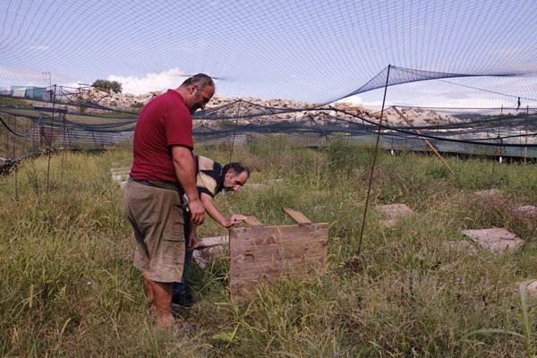 Foto - Hedef 50 ton! Türkiye'den İspanya'ya ihraç ediliyor