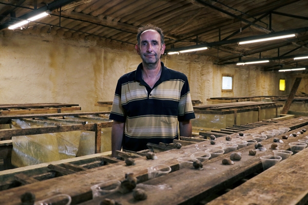 Foto - Hedef 50 ton! Türkiye'den İspanya'ya ihraç ediliyor