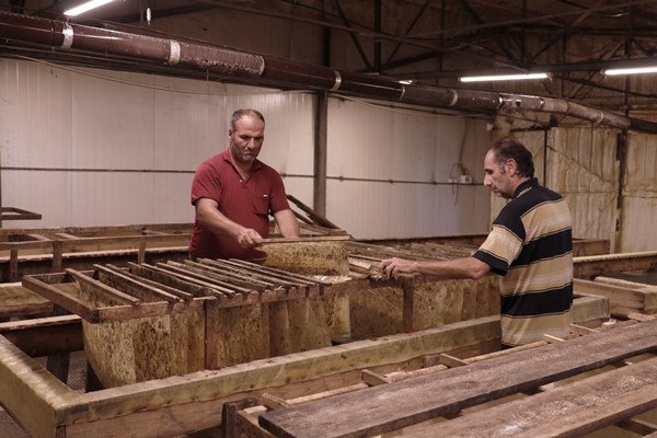 Hedef 50 ton! Türkiye'den İspanya'ya ihraç ediliyor