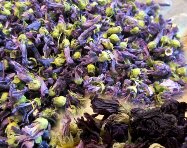 Foto - Hekimlerin Hekimi İbn-i Sina meğer yüzyıllar önce reçetesini vermiş! Bu mucizevi yöntem, herkesi 10 yaş birden gençleştiriyor! Denemeyen bin pişman