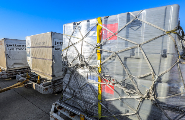 Foto - Helal olsun! Osmanlı torunu Nayip Bukele'den Türkiye kararı