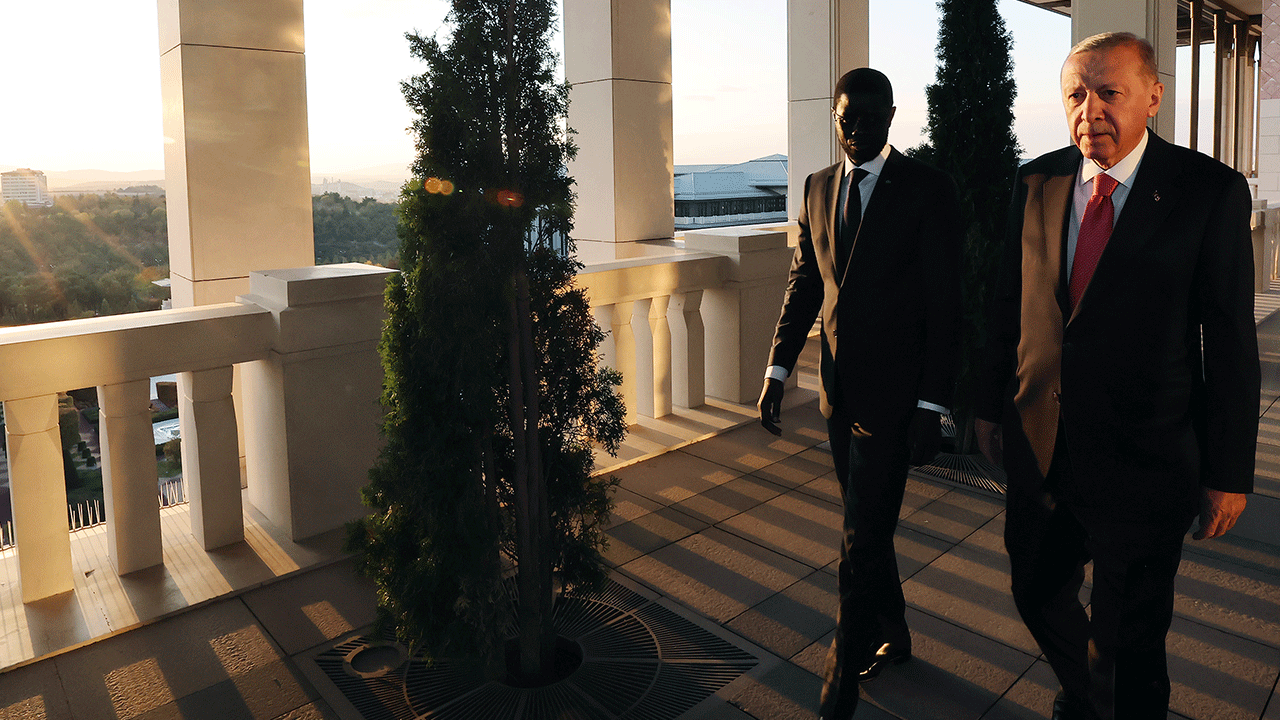 Foto - Helal olsun Senegal! Erdoğan teşekkür etti