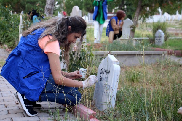 Foto - Helal olsun size gençler! Mezarlıklarda öyle bir şey yapıyorlar ki…