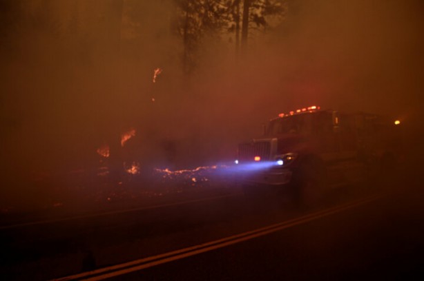 Foto - 'Help Turkey' etiketi açan beslemeler ABD yangınında kayboldu