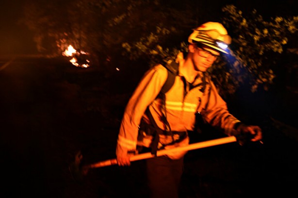 Foto - 'Help Turkey' etiketi açan beslemeler ABD yangınında kayboldu