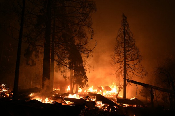 Foto - 'Help Turkey' etiketi açan beslemeler ABD yangınında kayboldu