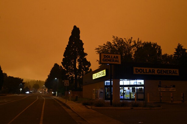 Foto - 'Help Turkey' etiketi açan beslemeler ABD yangınında kayboldu