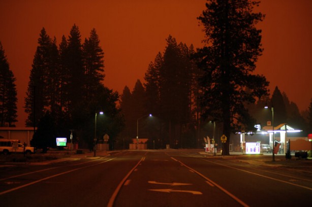 Foto - 'Help Turkey' etiketi açan beslemeler ABD yangınında kayboldu