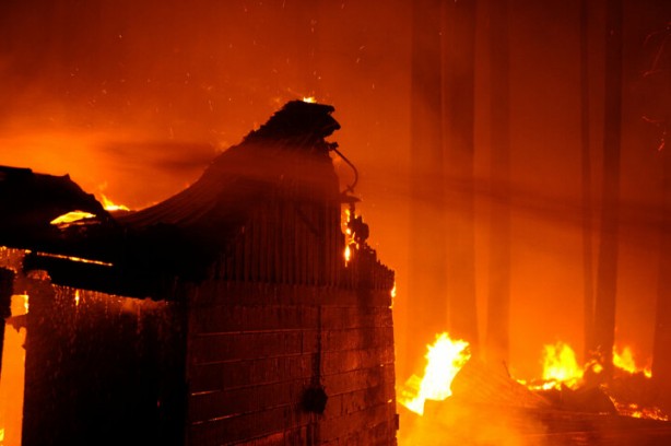 Foto - 'Help Turkey' etiketi açan beslemeler ABD yangınında kayboldu