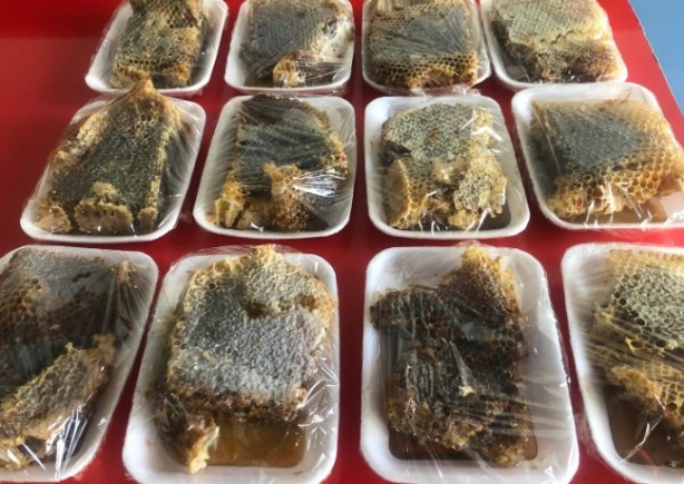 Foto - Hem arılarına hem 60 kilo bala kavuştu! Her yerde aradığı arılar bakın nereden çıktı