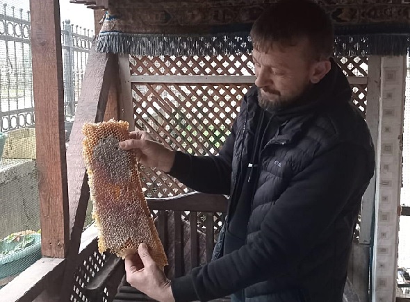 Foto - Hem arılarına hem 60 kilo bala kavuştu! Her yerde aradığı arılar bakın nereden çıktı