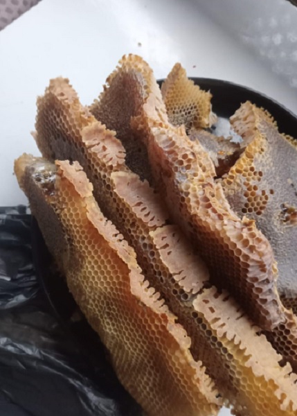 Foto - Hem arılarına hem 60 kilo bala kavuştu! Her yerde aradığı arılar bakın nereden çıktı