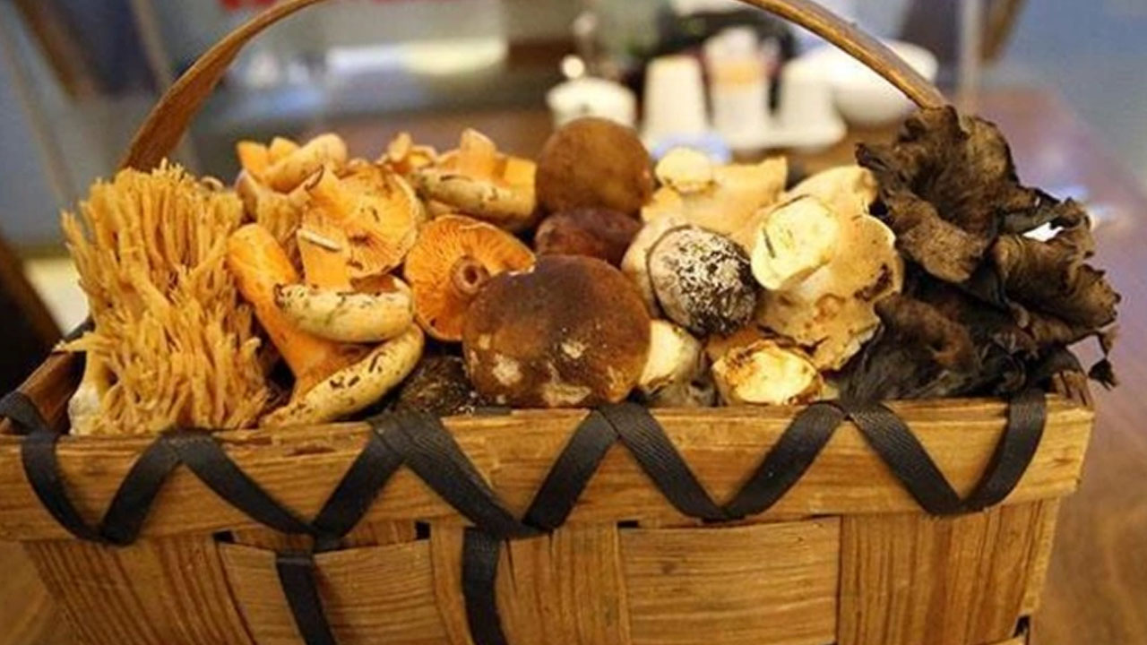 Foto - Hem bir günde 25 bin TL kazandırıyor hem de damarları tertemiz yapıyor, ilgi artıyor! Faydası 'pes' dedirtti