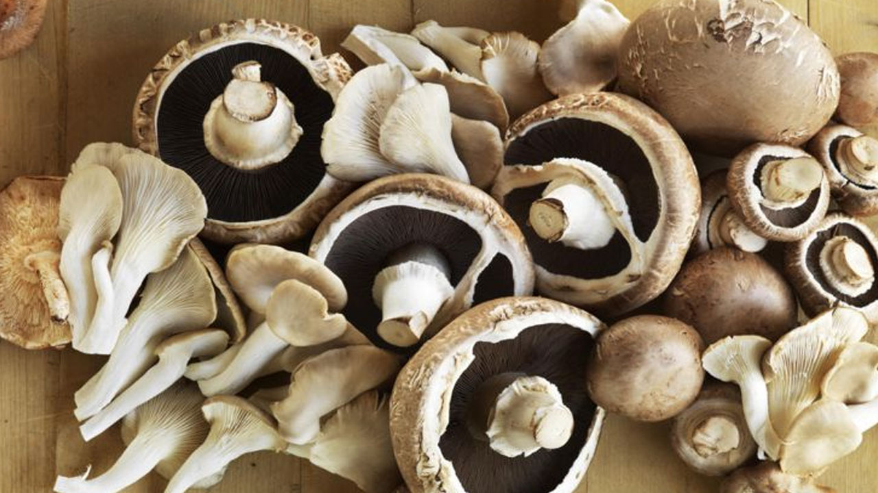 Foto - Hem bir günde 25 bin TL kazandırıyor hem de damarları tertemiz yapıyor, ilgi artıyor! Faydası 'pes' dedirtti