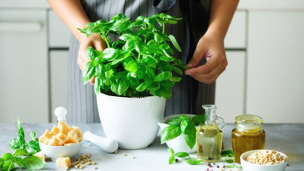 Foto - Hem cildi parlatıyor hem stresi azaltıyor! Bu bitkiyi mutfağınıza alın hayatınız değişsin