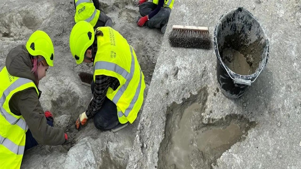 Hem de yüzlerce var! 166 milyon yıllık ayak izi keşfedildi