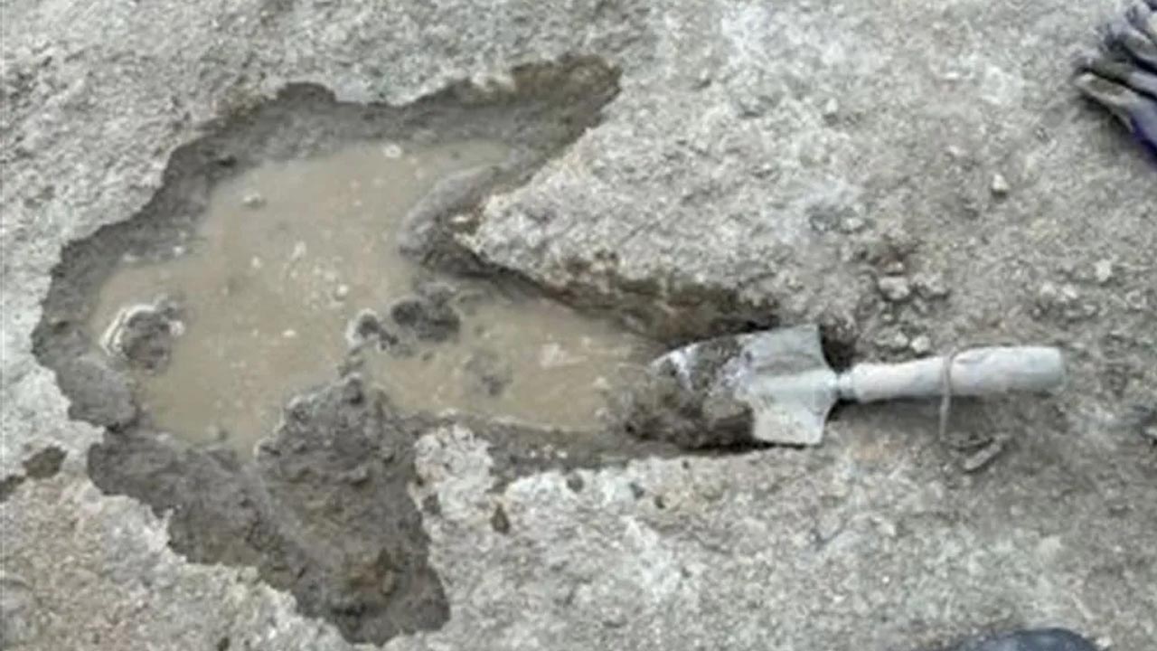 Foto - Hem de yüzlerce var! 166 milyon yıllık ayak izi keşfedildi