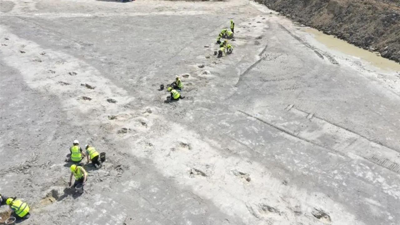 Foto - Hem de yüzlerce var! 166 milyon yıllık ayak izi keşfedildi