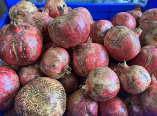 Foto - Hem ekonomik hem faydalı! Çay yerine onu içmeye başladılar