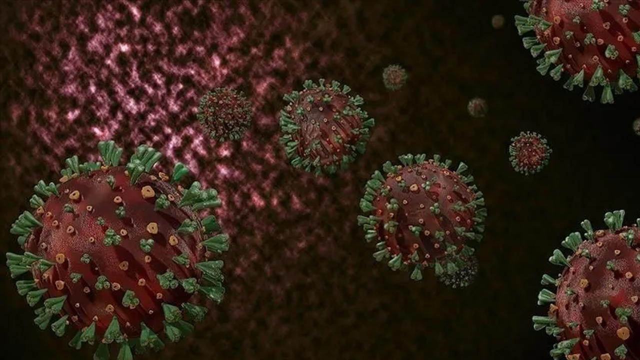 Foto - Hem hayvanlardan hem insanlardan bulaşıyor! Ülkede acil durum alarmı verildi!