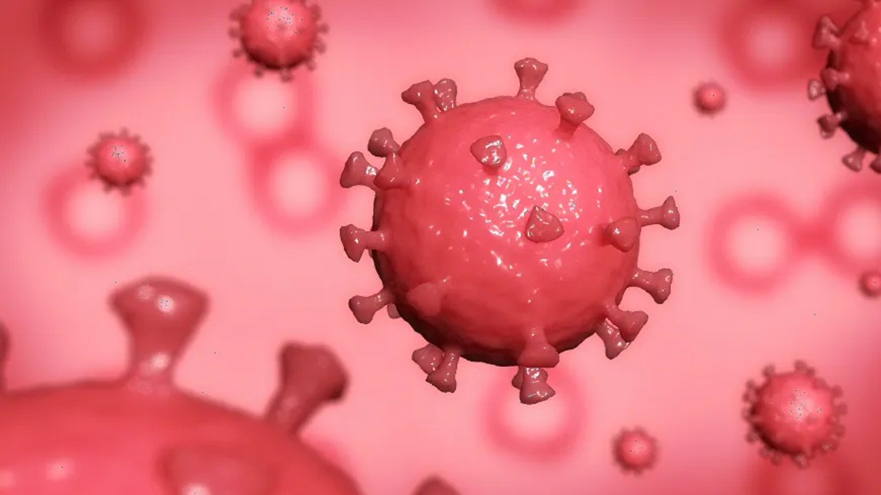 Hem hayvanlardan hem insanlardan bulaşıyor! Ülkede acil durum alarmı verildi!