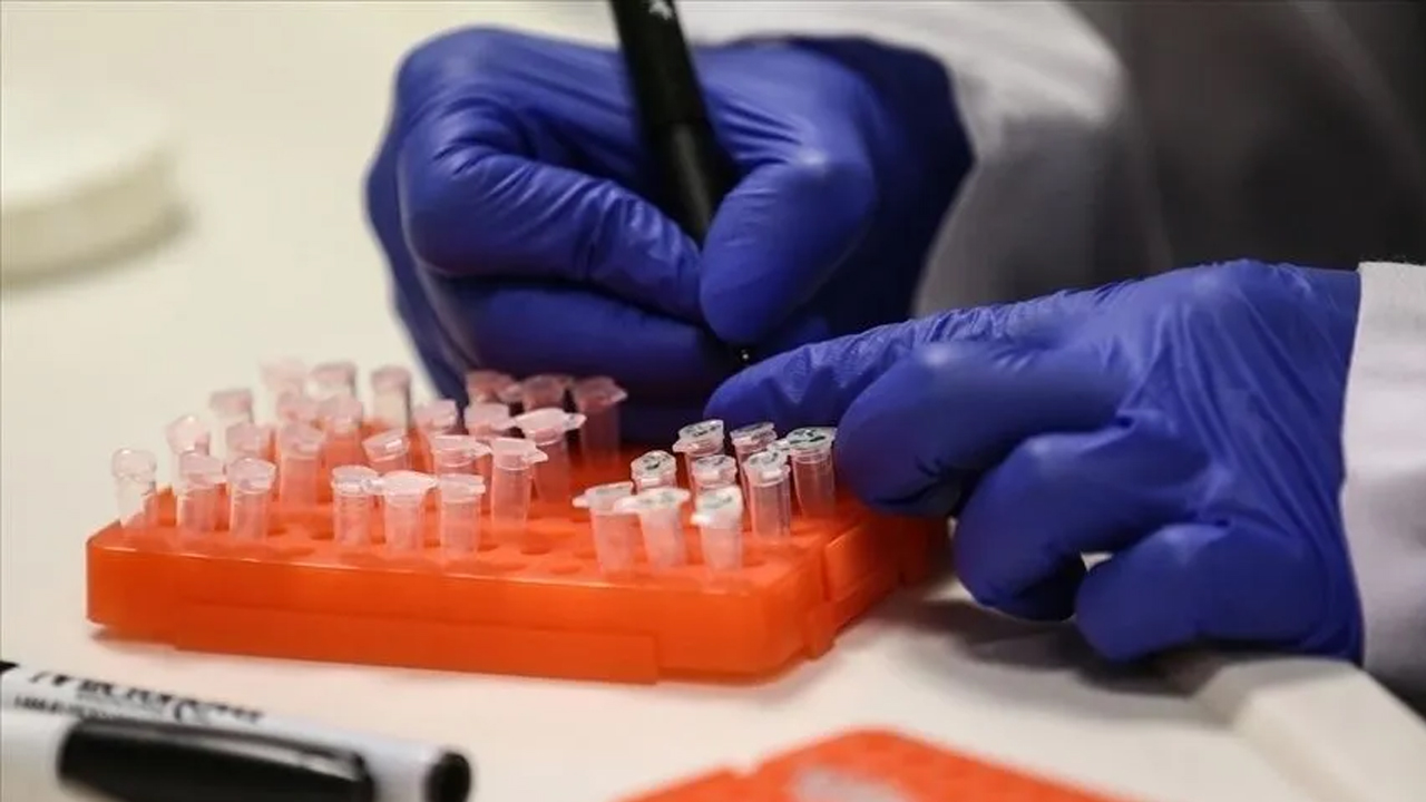 Foto - Hem hayvanlardan hem insanlardan bulaşıyor! Ülkede acil durum alarmı verildi!