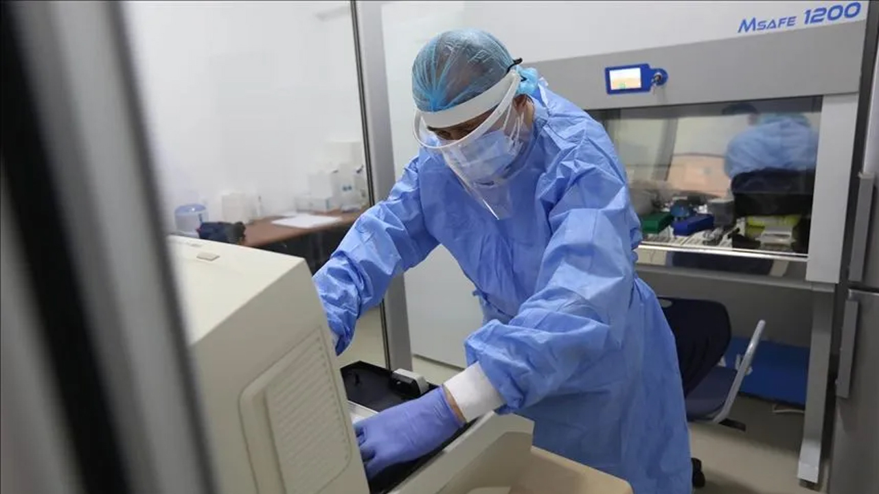 Foto - Hem hayvanlardan hem insanlardan bulaşıyor! Ülkede acil durum alarmı verildi!