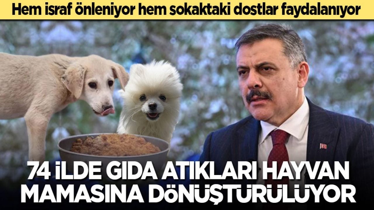 Hem israf önleniyor hem sokaktaki dostlar faydalanıyor! 74 ilde gıda atıkları hayvan mamasına dönüştürülüyor