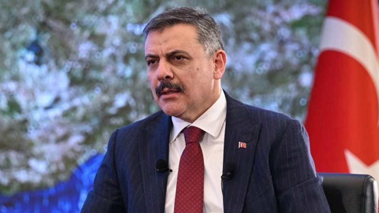 Foto - Hem israf önleniyor hem sokaktaki dostlar faydalanıyor! 74 ilde gıda atıkları hayvan mamasına dönüştürülüyor