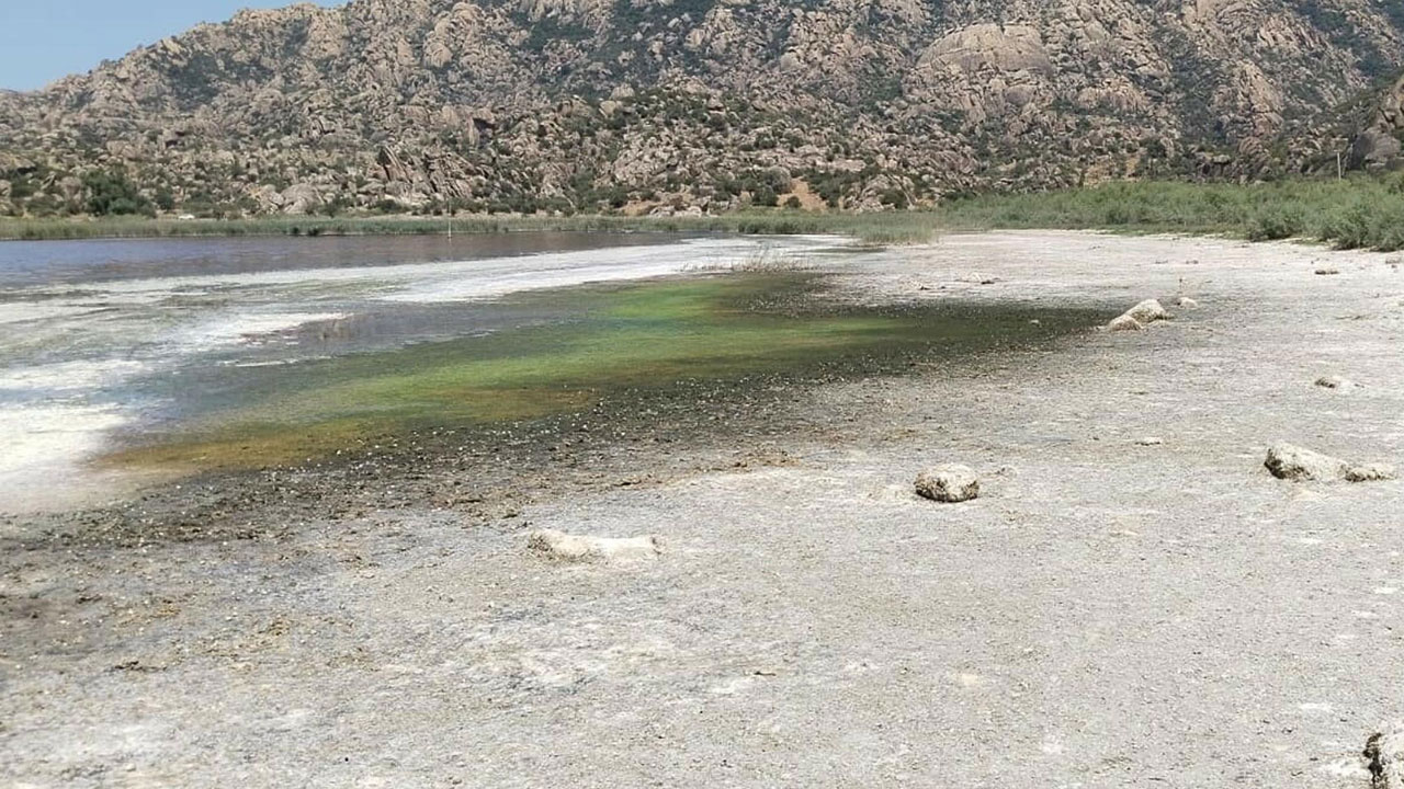 Foto - Hem kuraklık hem kirlilik! Kokudan bu göle yaklaşmak imkansız hale geldi