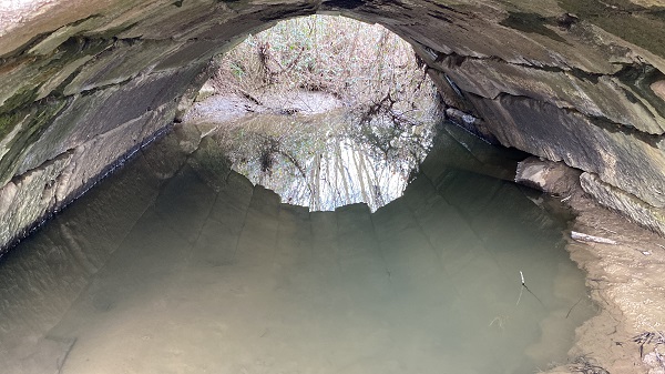 Hem sellere hem yıllara meydan okuyor! 