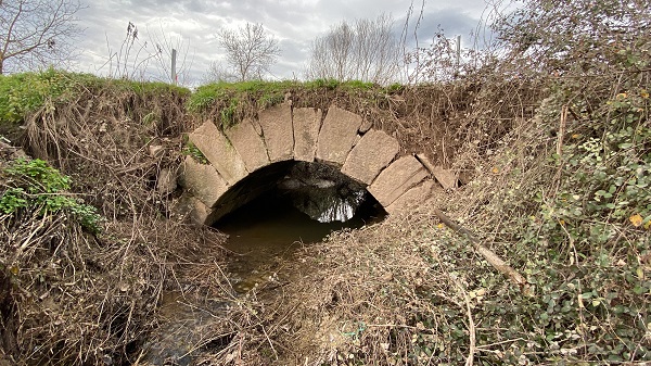 Foto - Hem sellere hem yıllara meydan okuyor! 