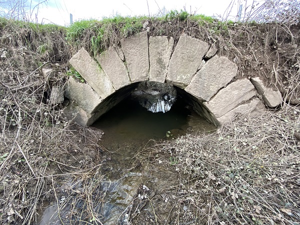 Foto - Hem sellere hem yıllara meydan okuyor! 
