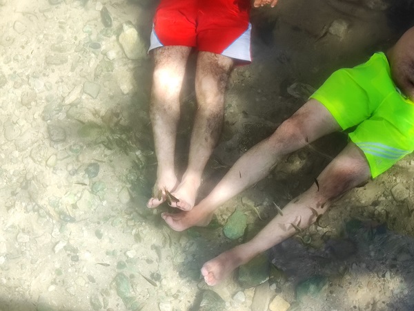 Foto - Hem serinletiyor hem şifa veriyor! Dünyada bir benzeri daha yok