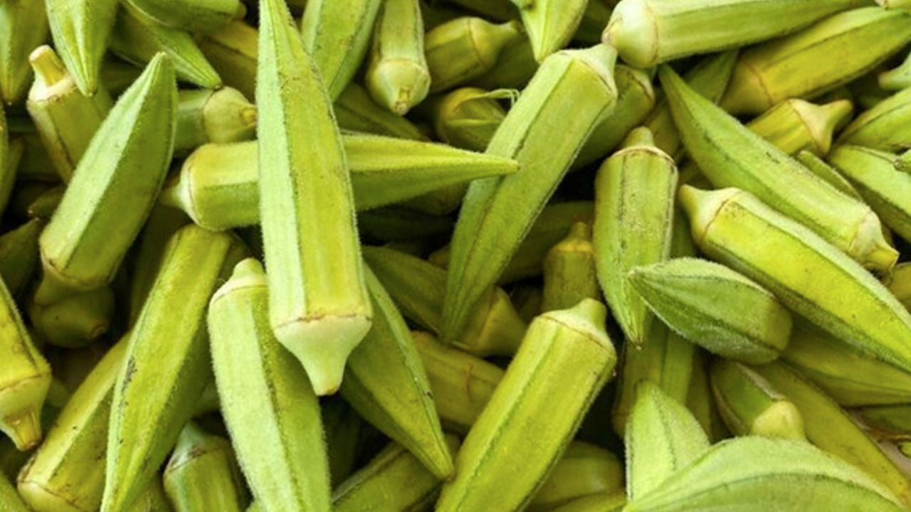 Foto - Kimse tüketmek istemiyor ama şifa deposu!