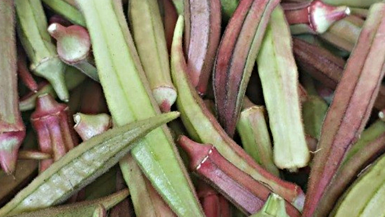 Foto - Kimse tüketmek istemiyor ama şifa deposu!