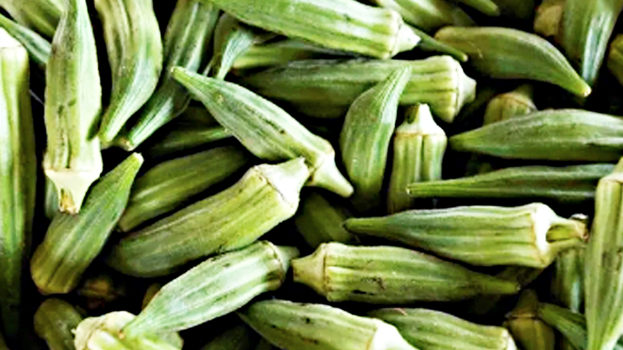 Foto - Kimse tüketmek istemiyor ama şifa deposu!