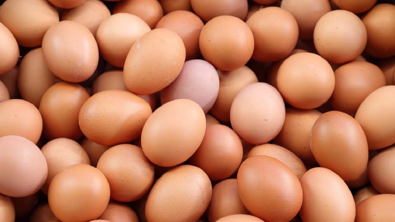 Foto - Hepimiz bu hatayı yapıyoruz! Siz siz olun yumurtayı böyle saklamayın