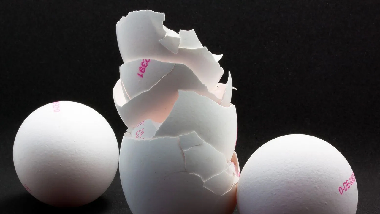 Foto - Hepimiz çöpe atıyorduk ama…! Bakın yumurta kabukları aslında ne işe yarıyor