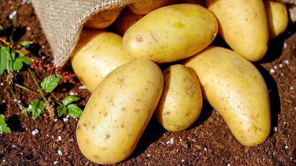 Foto - Hepimiz günlük hayatta bu hataları yapıyoruz! Doğru bildiğimiz 9 yanlış