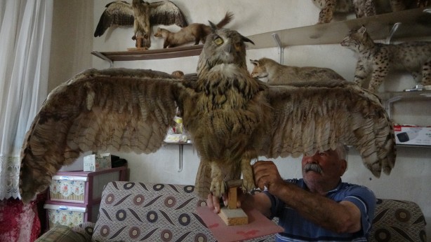 Hepsi birbirinden ilginç! Böyle koleksiyon görülmedi