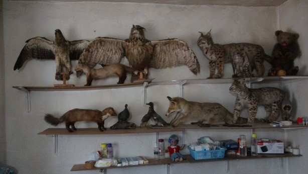 Foto - Hepsi birbirinden ilginç! Böyle koleksiyon görülmedi