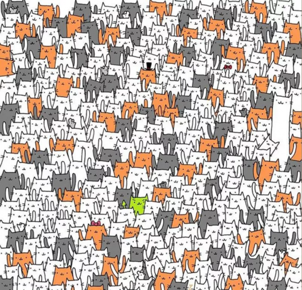 Foto - Hepsi birbirinden ilginç! İşte en popüler mantık soruları