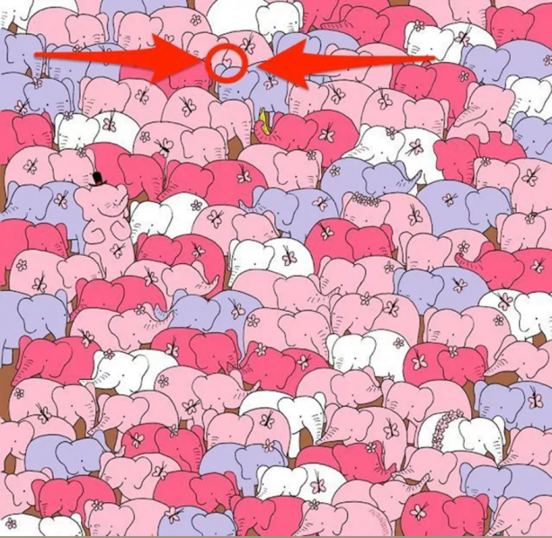 Foto - Hepsi birbirinden ilginç! İşte en popüler mantık soruları